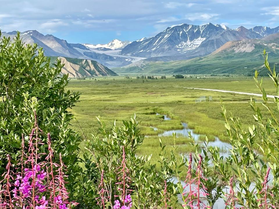 alaska landcape, mountains in the background with greenery in the foreground