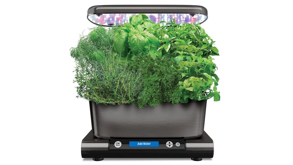 Aerogarden has built in LEDs and reminds you when to water, so growing herbs is easy.