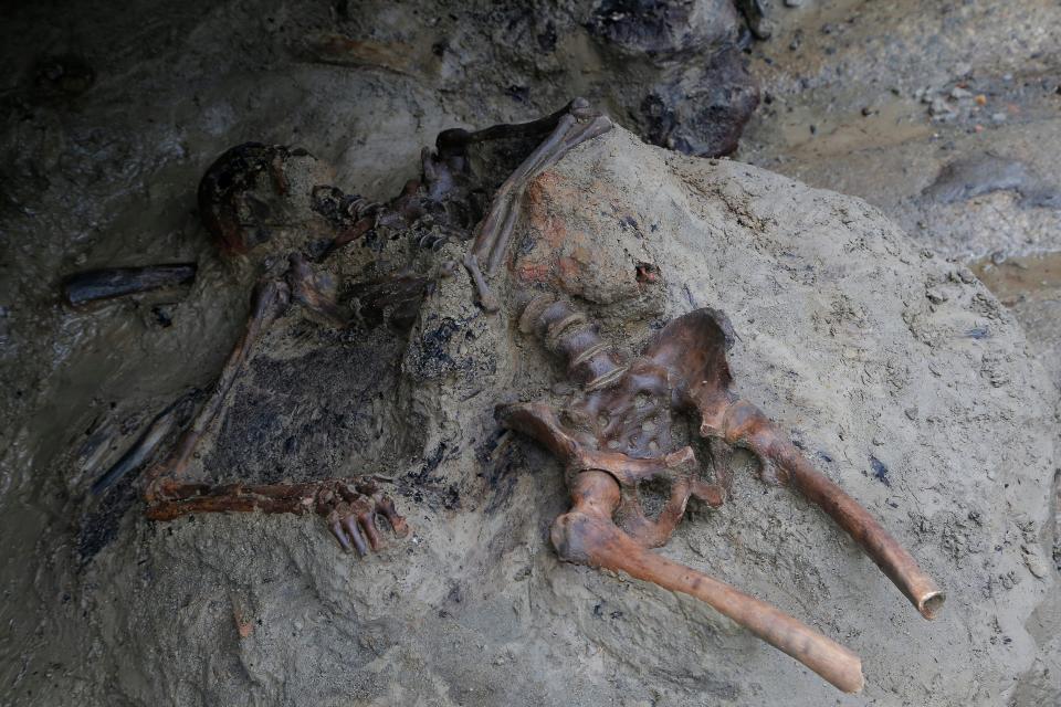 The skeleton of a male victim just found during a new excavation campaign in the Herculaneum archaeological area, the town buried with the nearly Pompeii by the eruption of Vesuvius volcano on 79 AD.