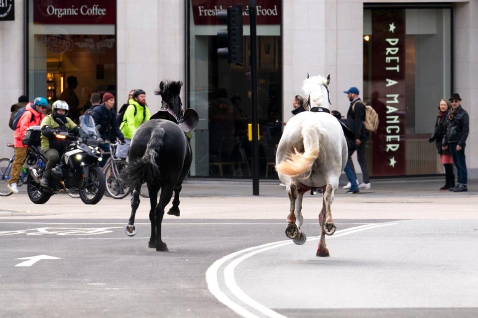 Two horses seen dashing through the streets of central London (Jordan Pettitt/PA Wire)