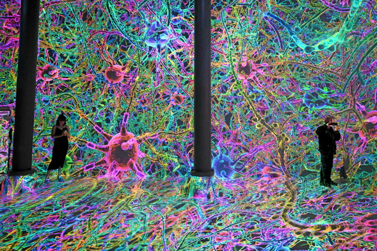 Une restitution artistique des voies neuronales du cortex préfrontal du cerveau, projetée à l’exposition immersive numérique « Life of a Neuron » à l'Artechouse NYC, à New York, le 13 mai 2022.  - Credit:Anthony Behar/Sipa USA/SIPA / SIPA / Anthony Behar/Sipa USA/SIPA