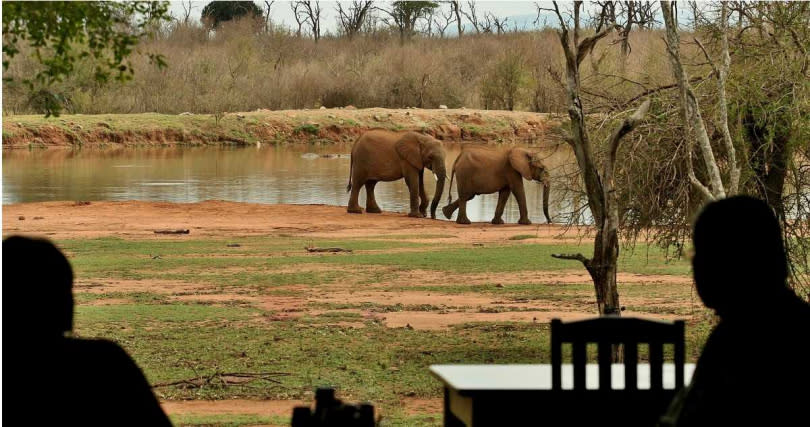 史瓦帝尼野生動物資源豐富，有多個動物園與保護區，也是動物輸出大國。（圖／翻攝FB／Big Game Park）