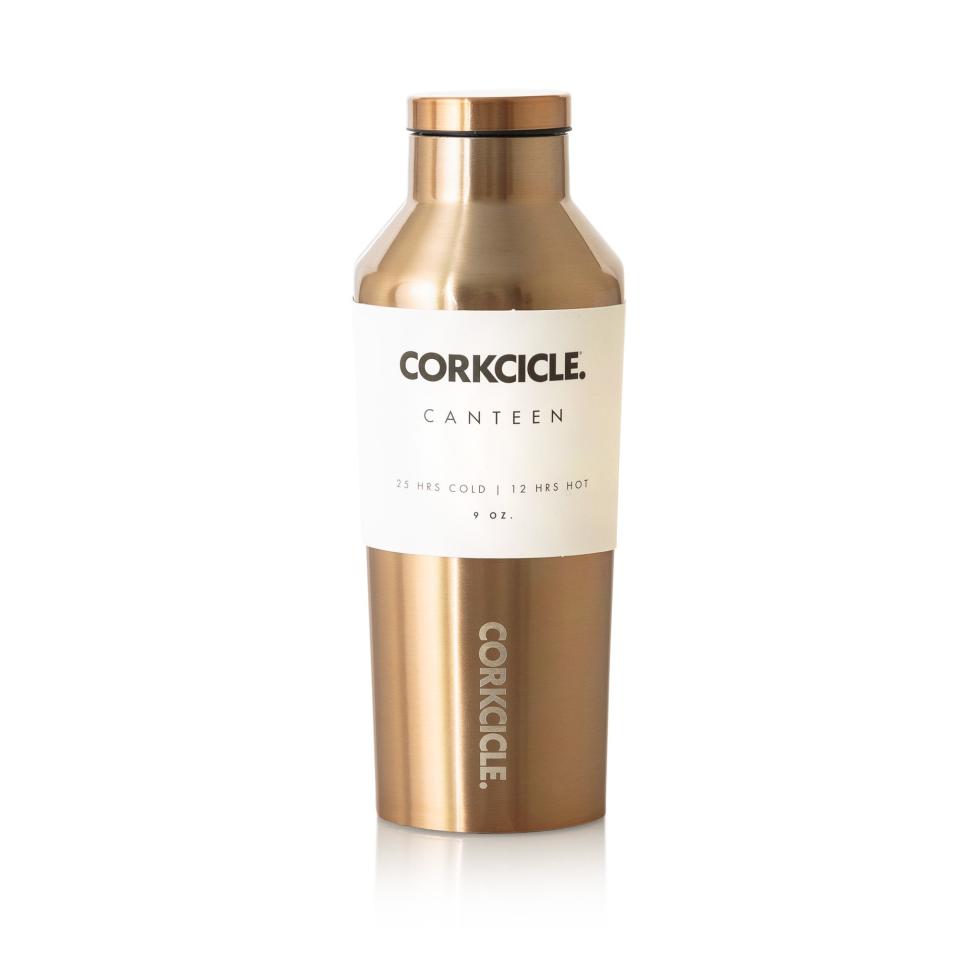 Corkcicle Canteen, $20