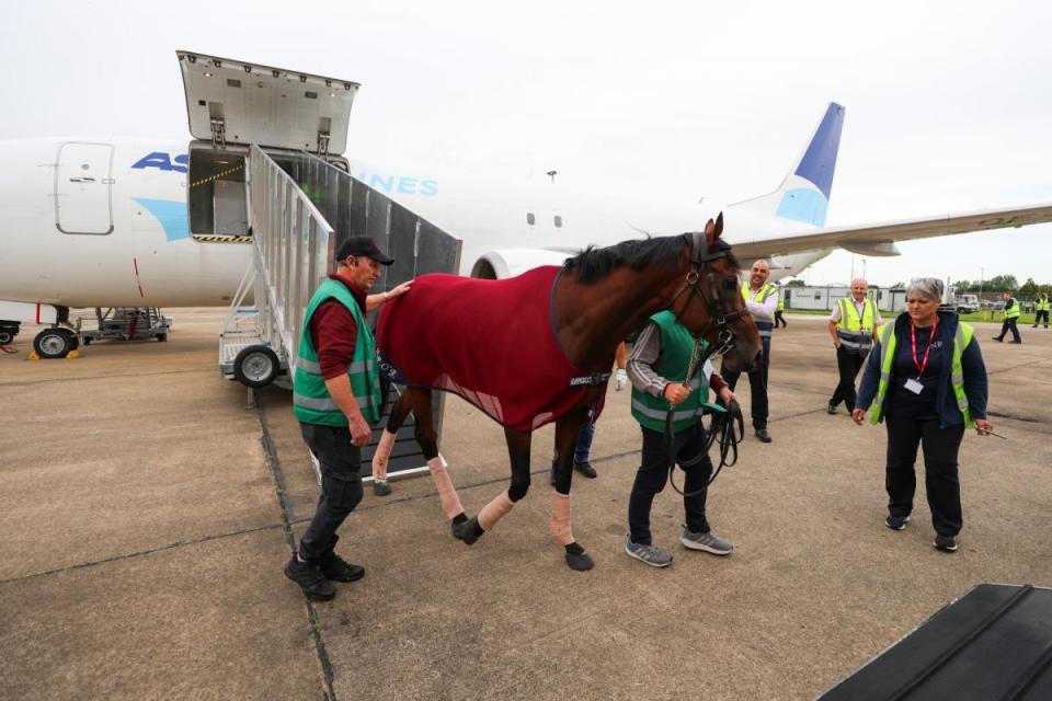 Paddington touches down at Teeside International Airport, ahead of today's Juddmonte International at York Racecource i(Image: TEESSIDE INTERNATIONAL AIRPORT)/i