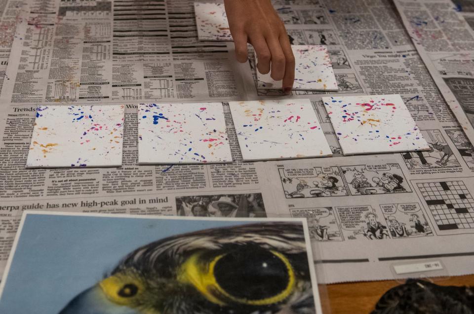 People pick out a painting done by an American Kestrel called Ferrisburgh at the Vermont Institute of Natural Science in Quechee, Vermont. at the Vermont Institute of Natural Science in Quechee, Vermont.