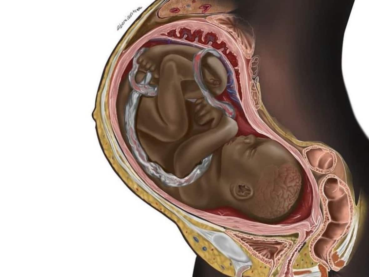 Chidiebere Ibe's recent illustration of a fetus has gone viral. From Nigeria, he told CBC News: 'I'm glad that people are blessed by the work and people feel that it's time to make great change.'  (Chidiebere Ibe - image credit)