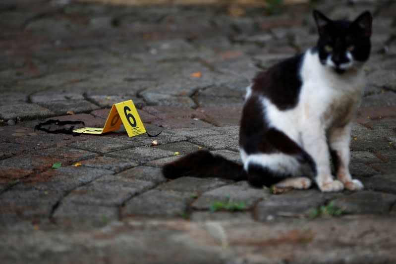 A cat is seen next to the evidence of a blast at National Monument (Monas) complex in Jakarta