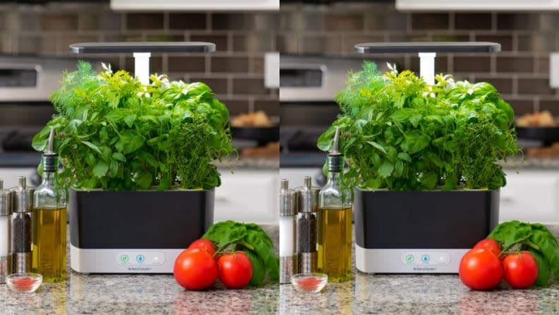 Grow fresh cooking herbs right on your counter.