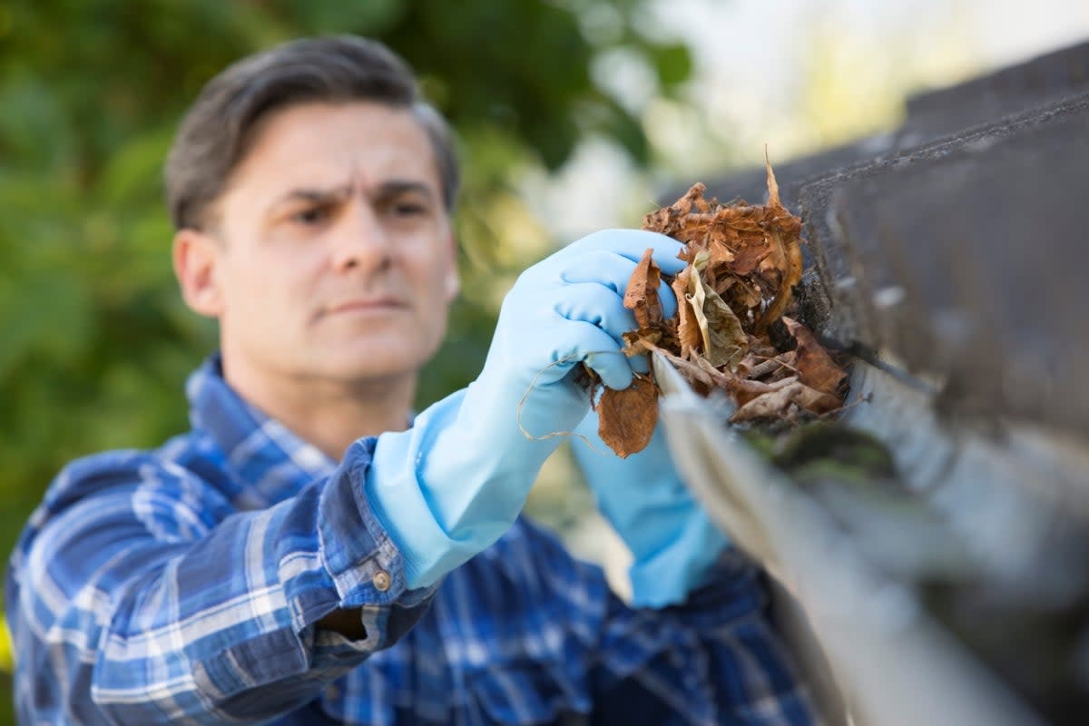 Man cleaning leaves out of gutter by hand.