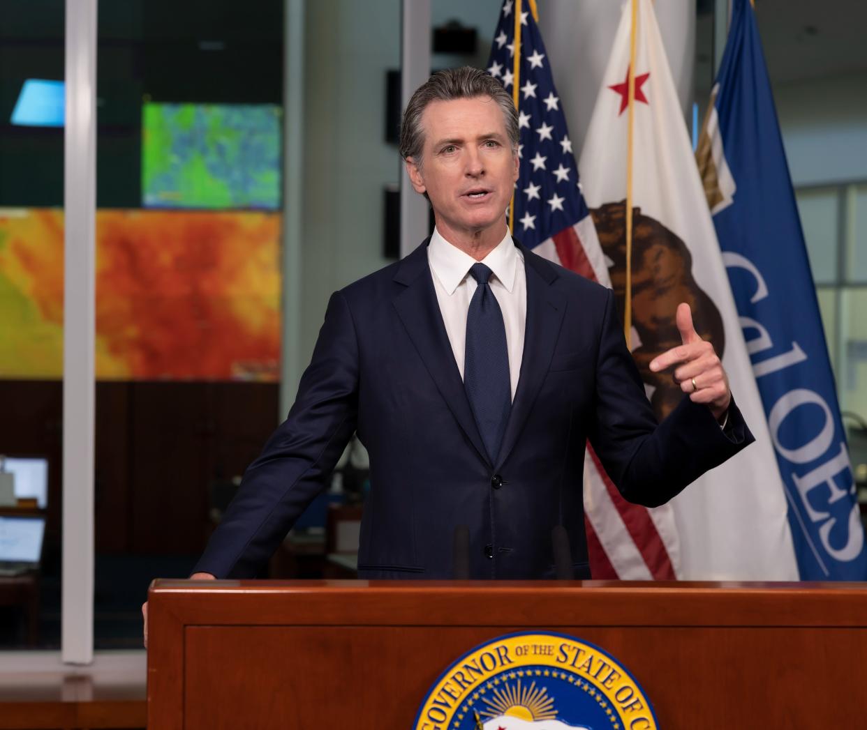 Gov. Gavin Newsom speaks earlier this year.