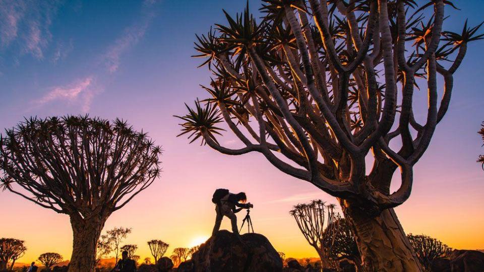 Photographer at work at sunset in a quiver tree forest, Namibia 