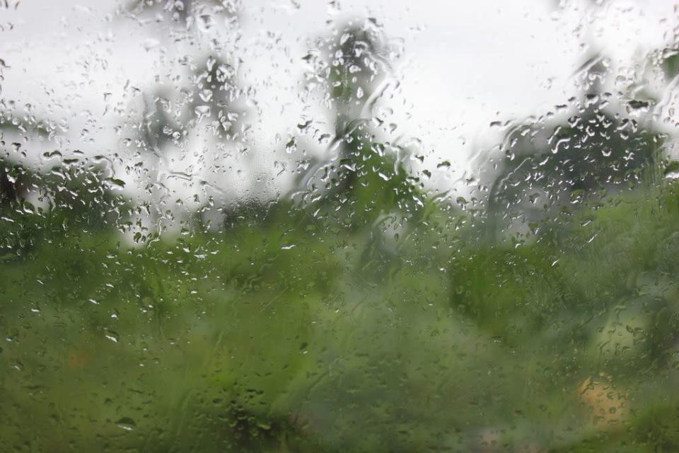 Rain on my window <br>By <a href="http://www.flickr.com/photos/26126452@N06/" rel="nofollow noopener" target="_blank" data-ylk="slk:Anshu Acharaya;elm:context_link;itc:0;sec:content-canvas" class="link ">Anshu Acharaya </a>