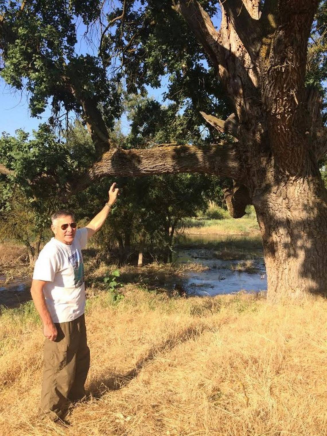 Richard Sloan, founder of RiverTree Volunteers, points toward the branches of an oak tree where he and a couple friends built a three-story treehouse during the summer of 1964. The tree is located at Sycamore Island Park, one of the few areas with managed public access along the San Joaquin River near Fresno. MAREK WARSZAWSKI/marekw@fresnobee.com