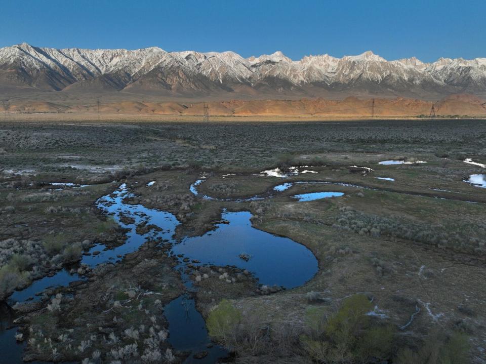 Water soaks the ground at Lower Owens River.