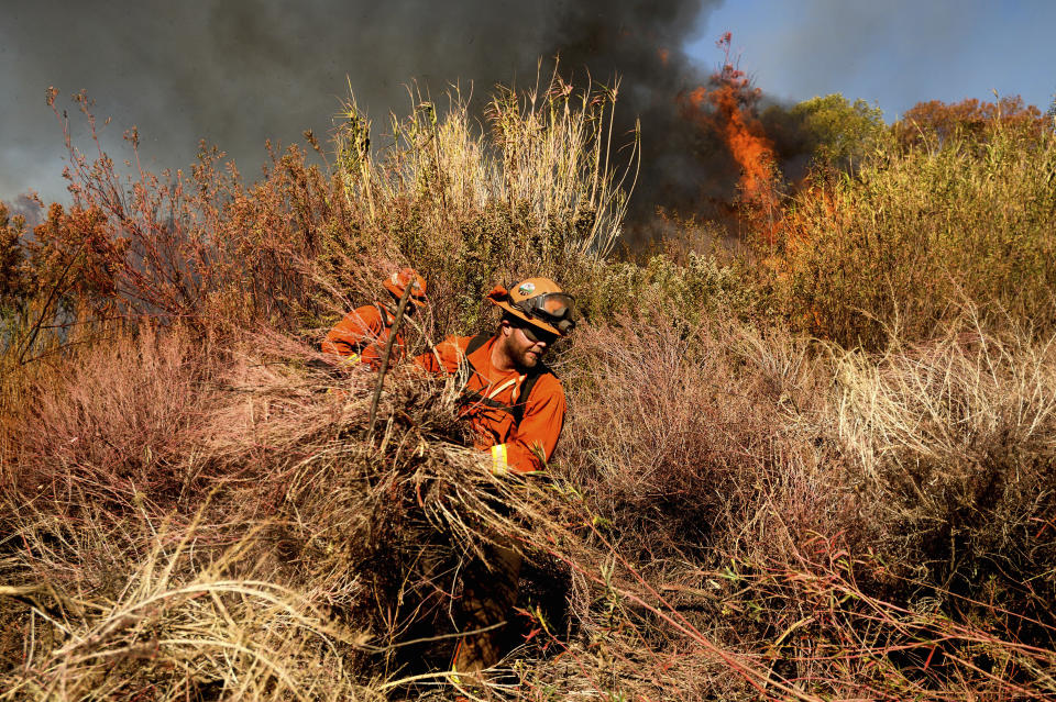 An inmate firefighter creates a fire break as the Maria Fire approaches in Santa Paula, Calif., on Friday, Nov. 1, 2019. According to Ventura County Fire Department, the blaze has scorched more than 8,000 acres and destroyed at least two structures. (AP Photo/Noah Berger)