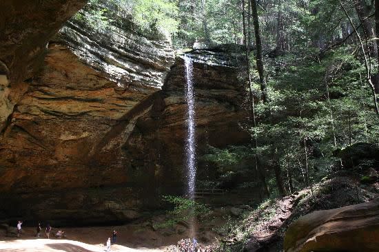 wayne national forest