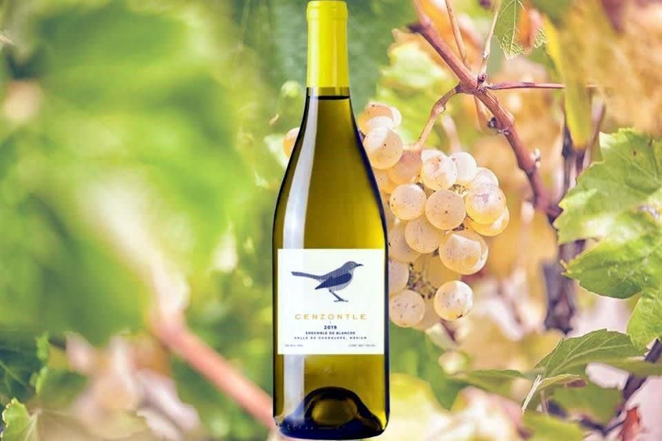 Cenzontle blanco 2019 / vino blanco