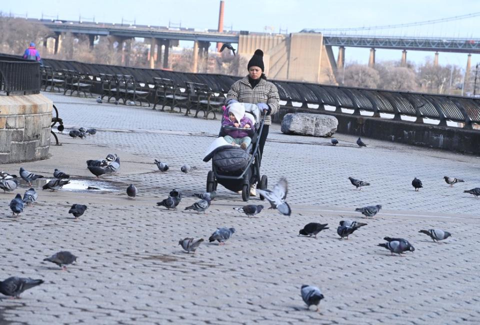 The emboldened pigeons have ruined the park experience, according to local residents. Helayne Seidman