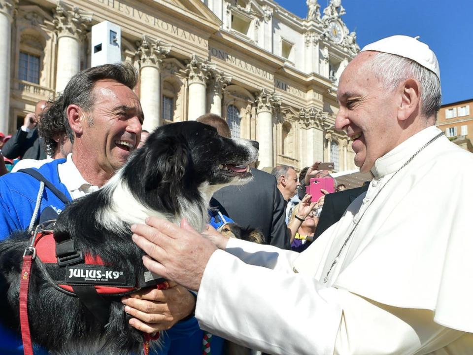 He can't resist petting an adorable dog.