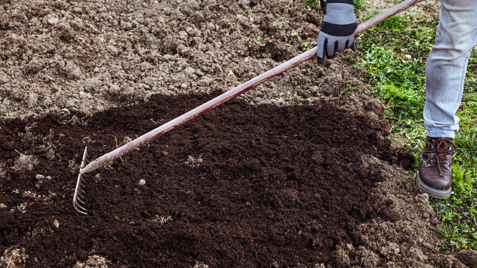 Man raking over freshly dug soil