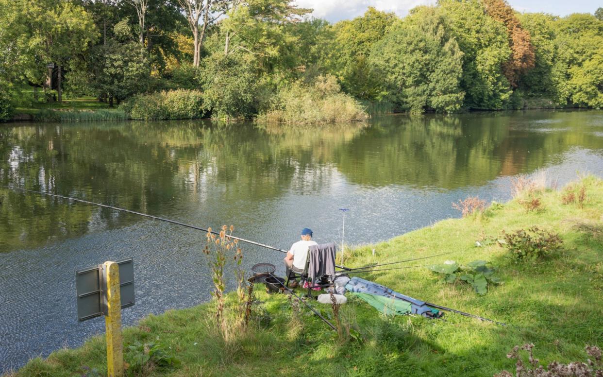 GPs, nurses and other health workers can now prescribe fishing as - Greg Balfour Evans