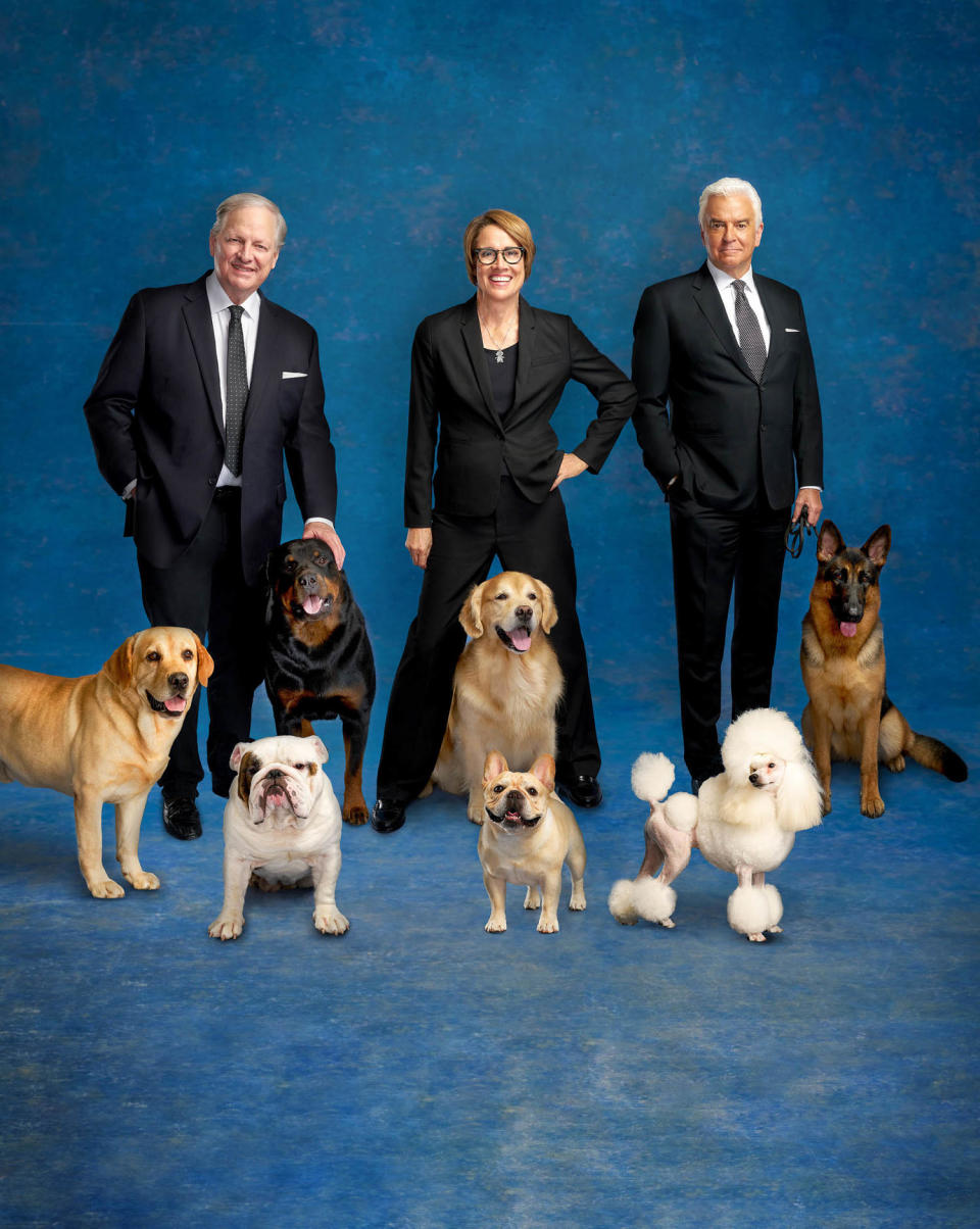 The National Dog Show  (Virginia Sherwood / NBC )