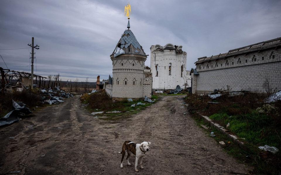 An abandoned dog stands in front of the destroyed Orthodox Sviatohirsk Cave Monastery (Holy Mountains Lavra of the Holy Dormition) in Svyatohirsk, Donetsk region -  DIMITAR DILKOFF/ AFP