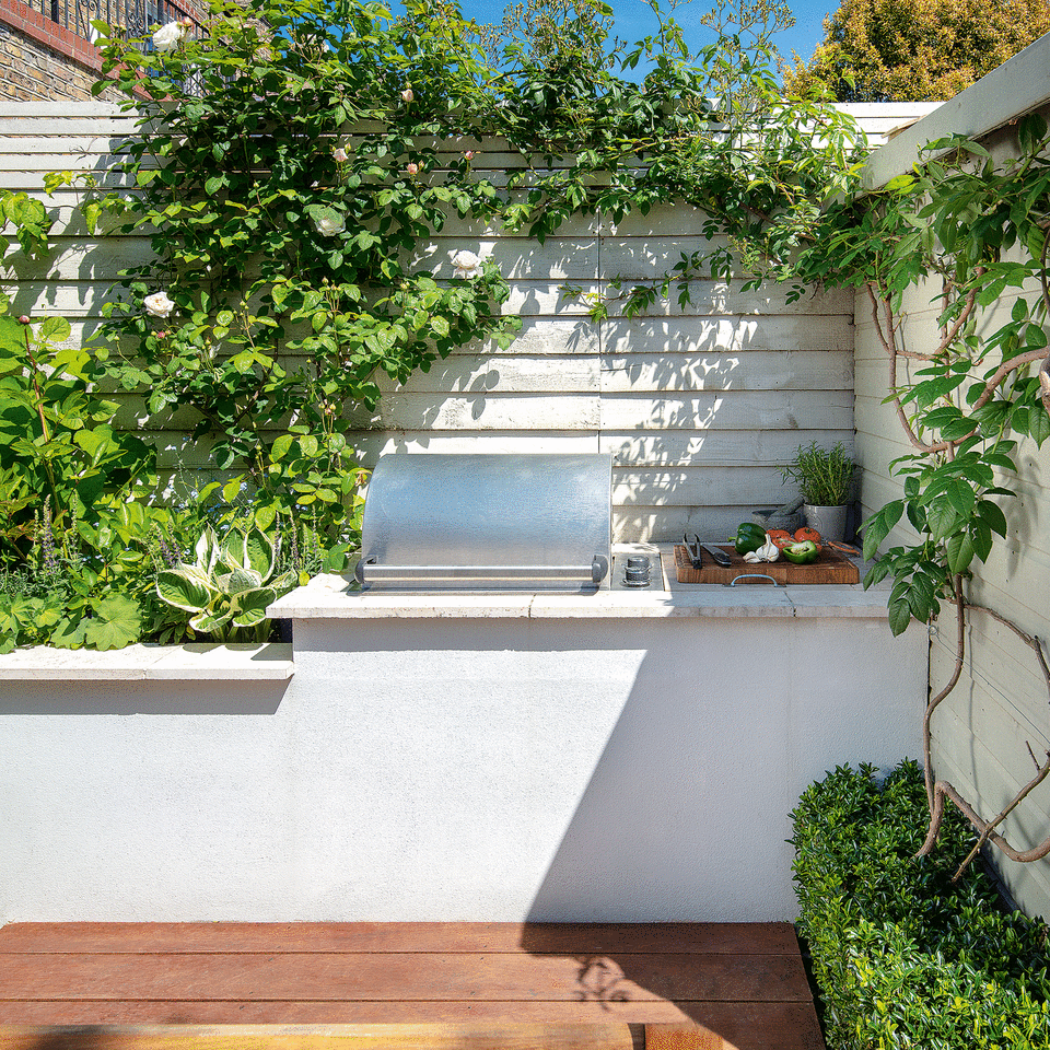 Vertical garden growing up fence around BBQ