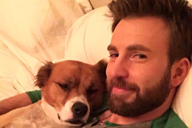 chris evans/instagram Chris Evans cuddles with his dog Dodger.