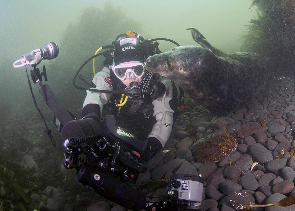 Seal steal — playful pup tries to take camera