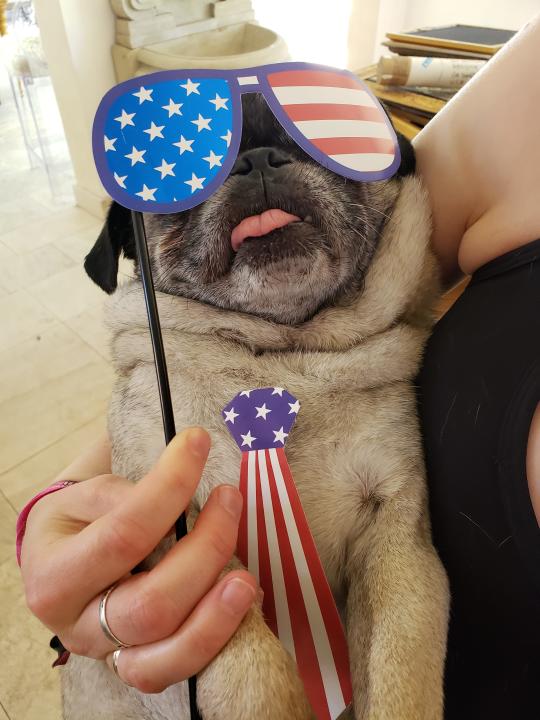 Roly Poly (his real name) loves America ����. And pets. He hasn't responded to questions on which he loves more.