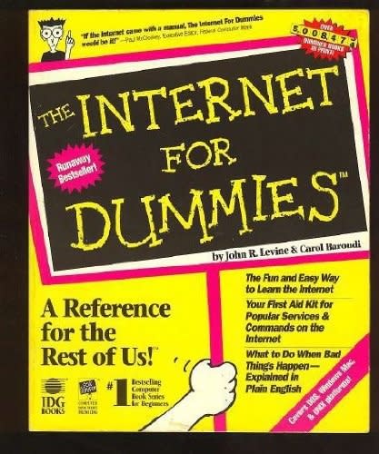 the internet for dummies