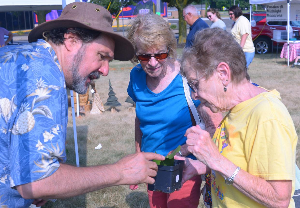 Mark Peters of the Elderberry Mercantile explains Saturday June 22, 2024, during the opening day of the Alliance Farmers Market to Sue Snode, center, and Kathy Adams how the Night Blooming Cereus plant blooms for only a single night each year.