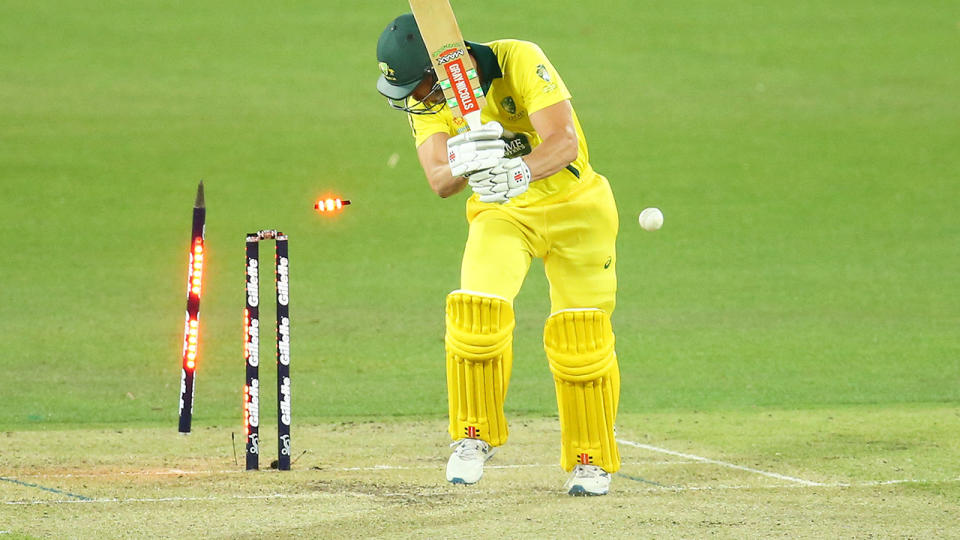 Chris Lynn, pictured here after having his leg-stump uprooted.