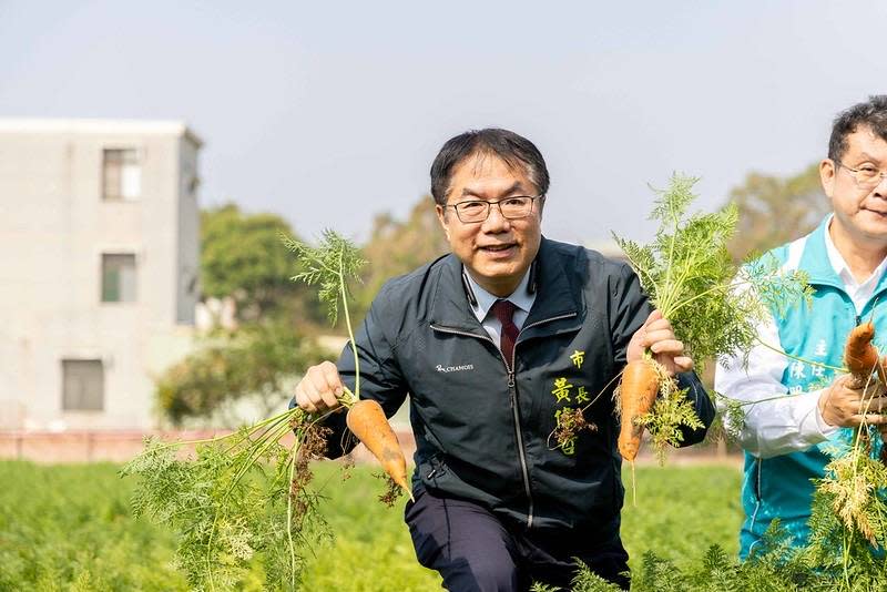 臺南春季花盛開 黃偉哲邀大家來將軍拔紅蘿蔔賞木棉