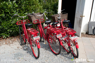 Bicycles at C/O The Maidstone -- East Hampton