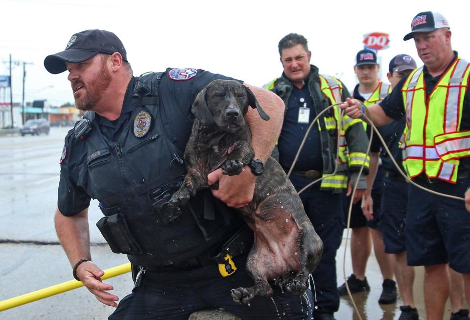 A dog is rescued from flood waters by first responders with the SAPD and SAFD on Knickerbocker Rd. near the intersection of S. Johnson St. on Tuesday, Aug. 17, 2021.