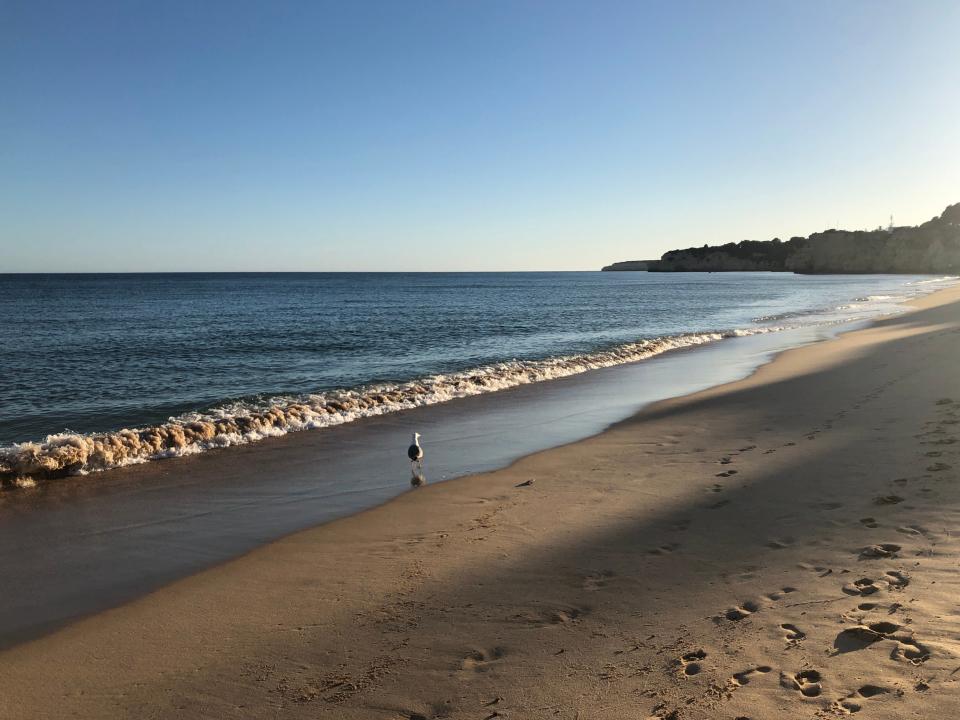 Lonely planet: a beach on the Portuguese Algarve (Simon Calder)