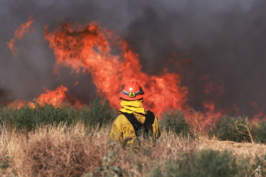 Firefighter battling wildfire in Southern California. (Photo by DAVID SWANSON/AFP via Getty Images)