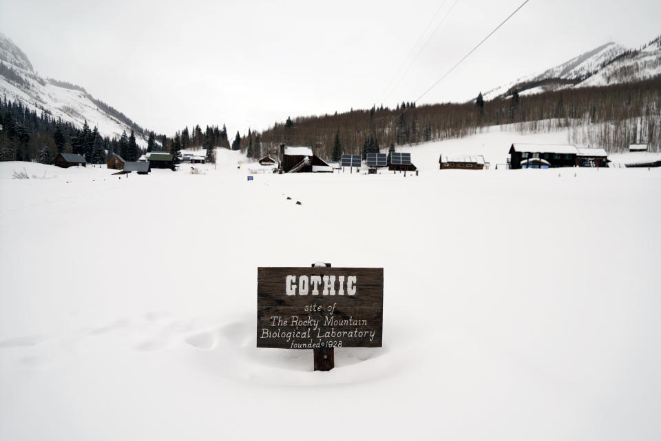 A sign sits Wednesday, March 13, 2024, in Gothic, Colo. The area is four miles from the nearest plowed road. (AP Photo/Brittany Peterson)