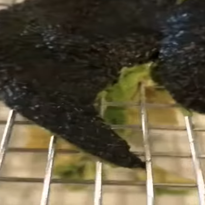 Putting avocado through wire rack