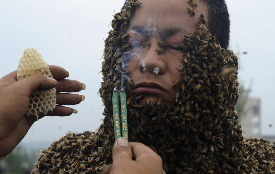 An apprentice of beekeeper She Ping uses burning incense to drive off bees from She's face as he assists covering She's body with bees in order to break a world record in Chongqing Municipality, April 18, 2012. She Ping, 32, broke the world record on Wednesday by covering his body with 33.1 kilograms of bees (about 331,000 bees), overtaking the last world record of 26.8 kilograms of bees which was attempted by a Jiangxi province beekeeper Ruan Liangming in 2008, local media reported. REUTERS/China Daily