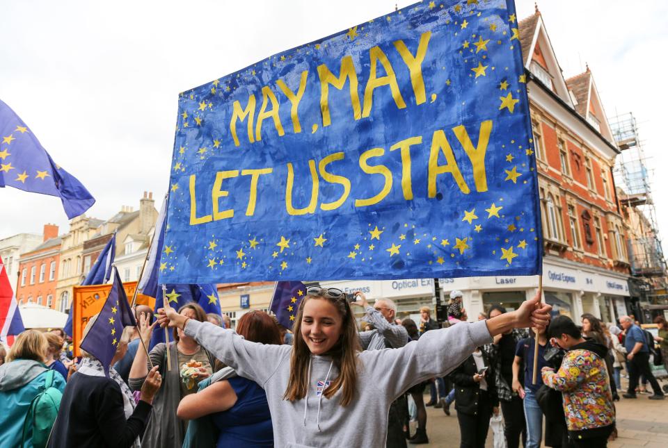 Pro-EU protesters in the UK (Rex)