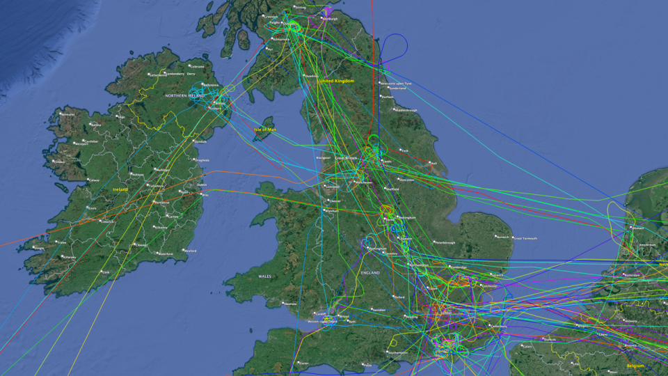 This snapshot of air traffic over the British Isles in January 2024, from FlightRadar24, shows the impact of Storm Isha and multiple holding patterns. - FlightRadar24