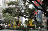 A work crew removes branches from a tree on Mission Street in San Francisco, Thursday, Jan. 17, 2019. Heavy rain, snow and wind pummeled much of California Thursday, causing at least five deaths, leaving thousands without power and forcing wildfire victims threatened by floods to flee their homes. (AP Photo/Jeff Chiu)