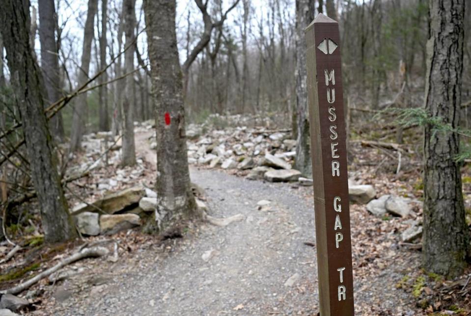 A portion of the newly redone Musser Gap Trail, which will soon connect to even more miles of trails in Rothrock State forest on Thursday, March 28, 2024.