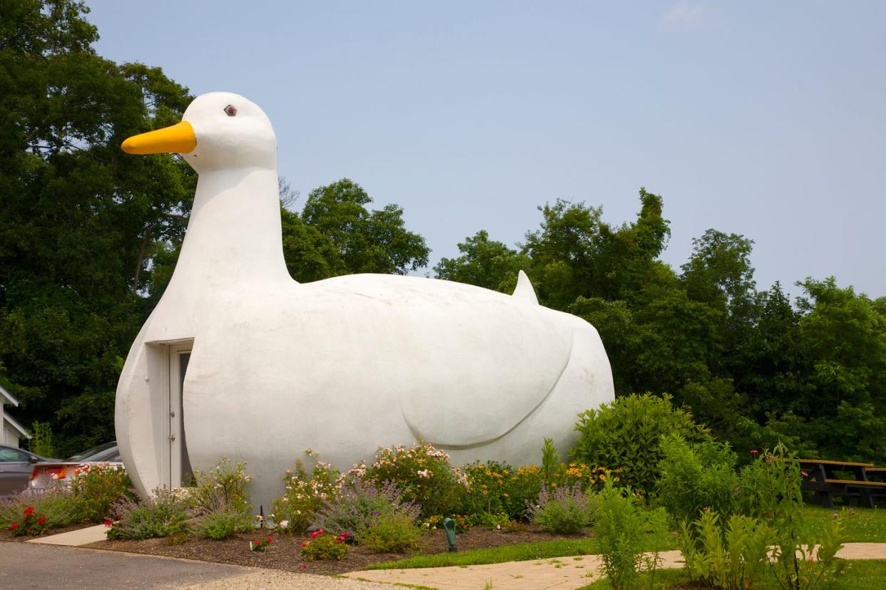 oldest roadside attractions big duck roadside big duck, flanders, ny