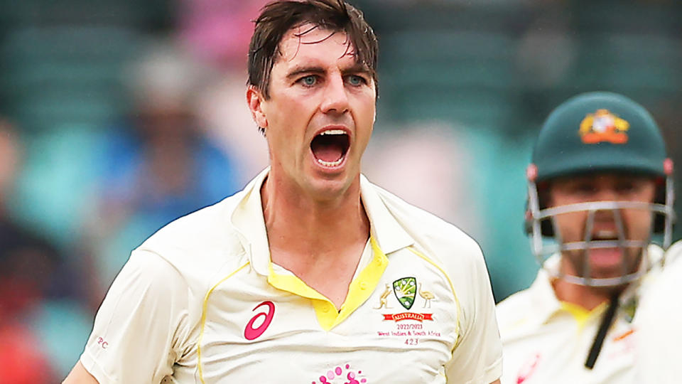 Pat Cummins appeals for a wicket in a Test match against South Africa.