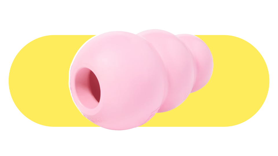 Barbiecore pet products: dog toy