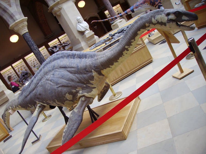 尼斯湖水怪博物館製作的水怪模型。（圖/User:Ballista@wikipediaCCBYSA3.0）
